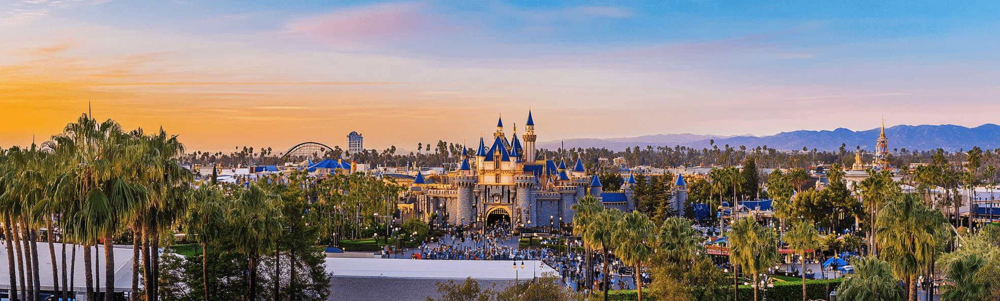 https://mastersguild.io/wp-content/uploads/2024/09/Anaheim.png