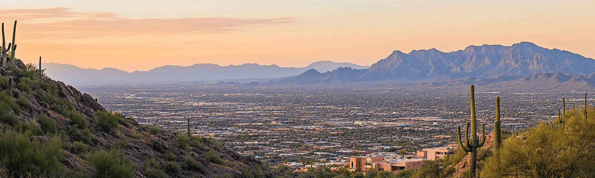 https://mastersguild.io/wp-content/uploads/2024/09/Tucson.png