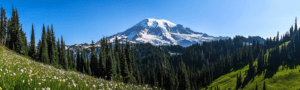 Washington