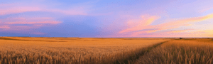 Saskatchewan
