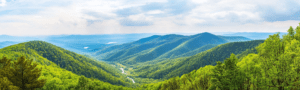 Virginia