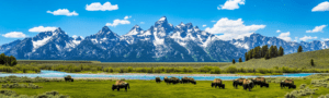 Wyoming