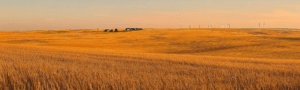 Kansas
