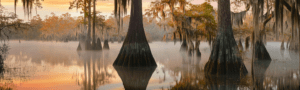Louisiana