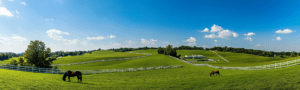 Kentucky
