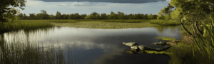 Florida