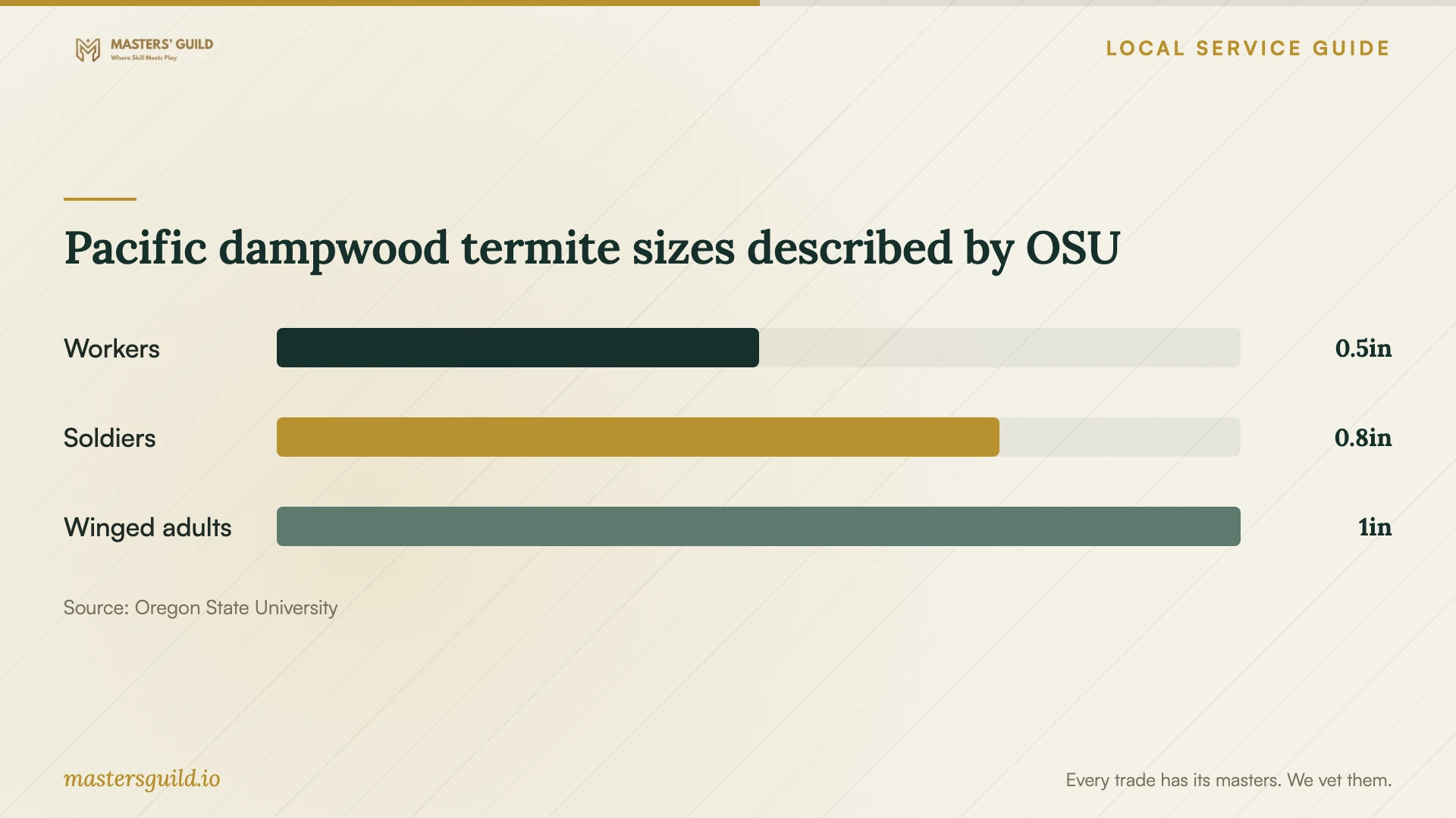 Pacific dampwood termite sizes described by OSU. Data table follows.